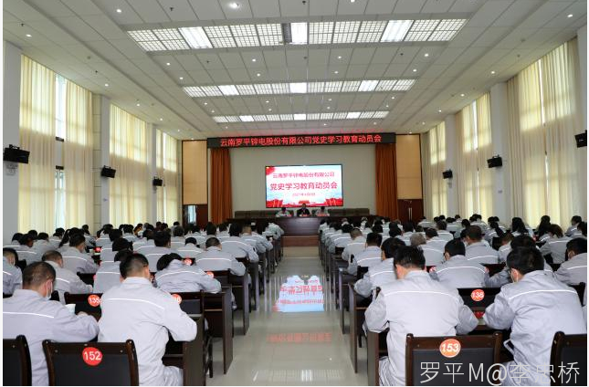 乐动(中国)召开党史学习教育动员会